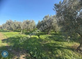 Şehir Hastanesine Cephe Satılık Değerli Arazi Fırsatı!