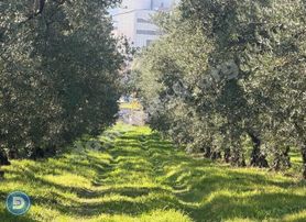 Şehir Hastanesine Cephe Satılık Değerli Arazi Fırsatı!