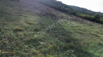 % 5 İmarlı Fuul Manzara