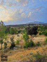 Kaş Üzümlü Acil Satılık 750 M2 Müstakil Tapulu