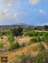 Kaş Üzümlü Acil Satılık 750 M2 Müstakil Tapulu