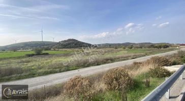 Aliağa Alosbi Yol Üzeri Satılık 20 Dönüm Tarla