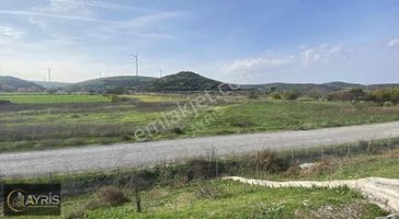 Aliağa Alosbi Yol Üzeri Satılık 20 Dönüm Tarla