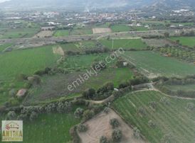 Antika Gayrimenkulden Büyükavulcuk Mah. Satılık 7680 M2 Tarla