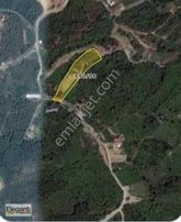 Sapancada Panoramik Göl Manzaralı 10 Dönümlük Yatırımlık Arazi!