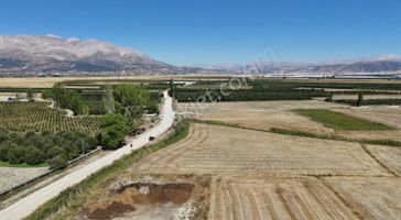 06 Truva Emlaktan Elmalı Mursel Köyünde Satılık Tarla