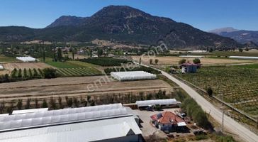 06 Truva Emlaktan Elmalı Mursel Köyünde Satılık Tarla