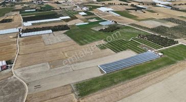 07 Truva Emlaktan Elmalı Bayralar Köyünde Satılık Sera Ve Tarla