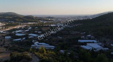 07 Truva Emlaktan Kumluca Toptaş Köyünde Satılık Tarla