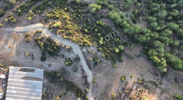 07 Truva Emlaktan Kumluca Toptaş Köyünde Satılık Tarla