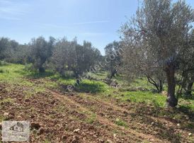 Artenew'den 171 M2 Satılık Bağ Bahçe Bergama Girişi