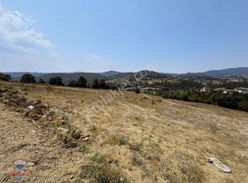 Samet'ten Satılık Kavak Çakallı 3107 M2 Tarla