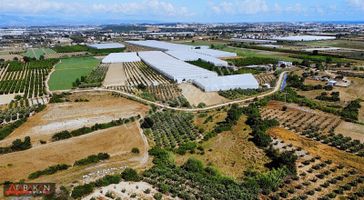 Çolaklıda 6500 M2 Müstakil Tarla