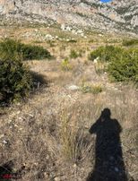 Sırtköyde Yol Sıkıntısı Olmayan Müstakil Parsel