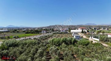 Manavgat Evrenseki De 30 Mt Lik Yol Üzerinde Arsa