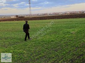 Tekirdağ Saray'da 9452 M² Satılık Tarla
