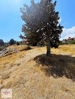 Geyikbayırı'nda İmara Sıfır Satılık Tarla