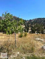 Geyikbayırı'nda İmara Sıfır Satılık Tarla