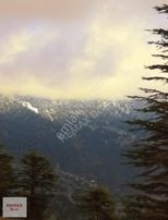 Konyaaltı Yarbaşçandır Kökez Yaylasın'da Villa İmarlı Arsa