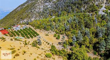 Çağlarca Kozağacında Antalya Manzaralı Satılık Tarla