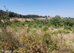 Tarssa Gayrimenkul'den Satılık Menemen Alaniçi Mh. Satılık Tarla!