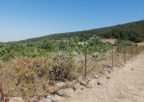 Tarssa Gayrimenkul'den Satılık Menemen Alaniçi Mh. Satılık Tarla!