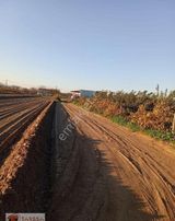 Tarssa Gayrimenkul'den Menemen Doğa Mh. Satılık Tarla!