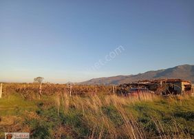 Tarssa Gayrimenkul'den Menemen Doğa Mh. Satılık Tarla!