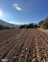 Burdur Merkez Çine Antalya Yoluna Cephe Satılık Tarla