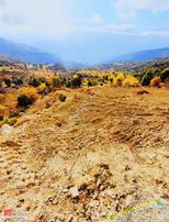 Antalya'da 9 Dönüm Satılık Tarla