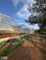 Antalya Aksu Topallıda Satılık Tarla