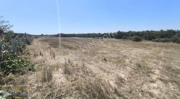 Silivri Çayırdere Tek Tapu