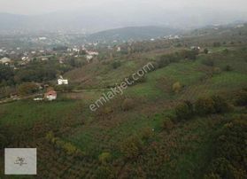 Mg Emlaktan Kuzulukta 4.633 M² Yatırıma Uygun Arazi