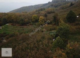 Mg Emlaktan Kuzulukta 4.633 M² Yatırıma Uygun Arazi