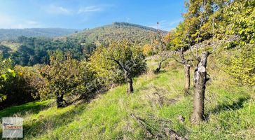 Kemalpaşa Bayramlı Mahallesinde 1.525 M2 Satılık Bahçe