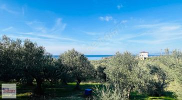 Dikili Bademli Mahallesinde Fırsat Konumda Satılık Tarla