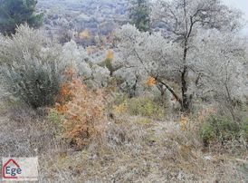 Ege Emlaktan Muğla Menteşe Göktepede Satılık Tarla