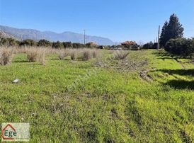Ege Eemlaktan Köyceğiz Döğüşbelende Satılık Tarla