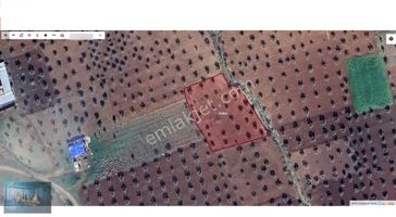 Liva Gayrimenkul'den A-5 Ve A-3 İmarlı Yola Sıfır Satılık Arazi