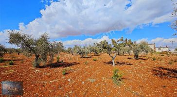 Liva Gayrimenkul'den Gümrük Yoluna Sıfır Villalık Satılık Arazi