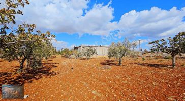 Liva Gayrimenkul'den Gümrük Yoluna Sıfır Villalık Satılık Arazi