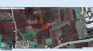 Kilis Liva Gayrimenkul'den Organize Sanayi Yanında Satılık Arazi