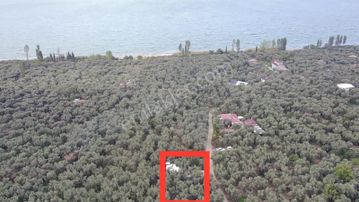 Göle 1 Dk Uzaklıkta Tel-çit Demır Kapılı Yazlık