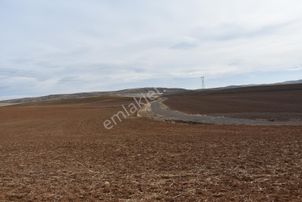 İstiklal İmar Dibi Emsalsiz Yatırım Fırsatı Kök Tapu Sorunsuz