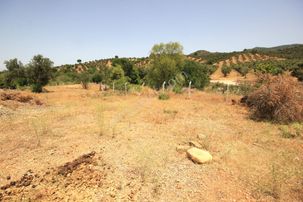 🔴🔴 Aktif'ten Kuyumcu Köyünde Ana Yola Sıfır Etrafı Tel İle Çevrili Satılık 3.100 M2 Tarla🔴🔴