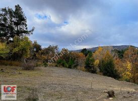 Lobby Fortisten Yeşilyaylada Satılık Hobi Bahçesi