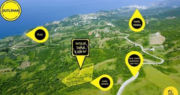 🟨⬛ Bandırma Dutliman'da Enerji Santrali Yakını Satılık 8.200 M² Tarla⬛🟨