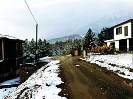 Kar Emlaktan Alpu Yaylasında 500 M2 Satılık Arsa