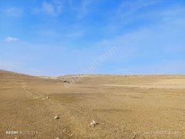 Gevaş Abalı Mahallesinde Satılık 3,5 Dönüm Tarla