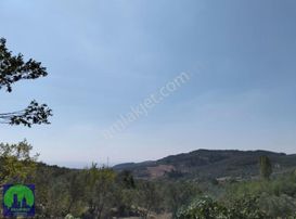 Mirzaoba'da Köye Yakın Hobi Bahçesi Yapımına Uygun Fırsat Tarla